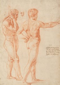 Studi di nudi